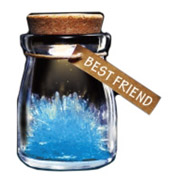 Crystal Wish Flower Best Friend Crystal Wish Flower Best Friend